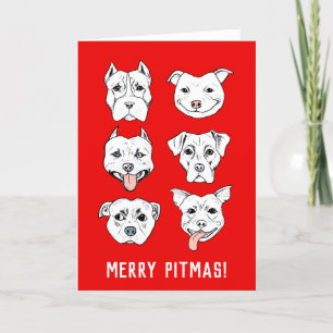 Cartes Pour Fêtes Annuelles Joyeux Pitmas   Pit Bull Dog Visages Noël