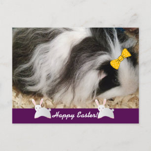 Cartes Pour Fêtes Annuelles Joyeux porc de la Guinée de Pâques