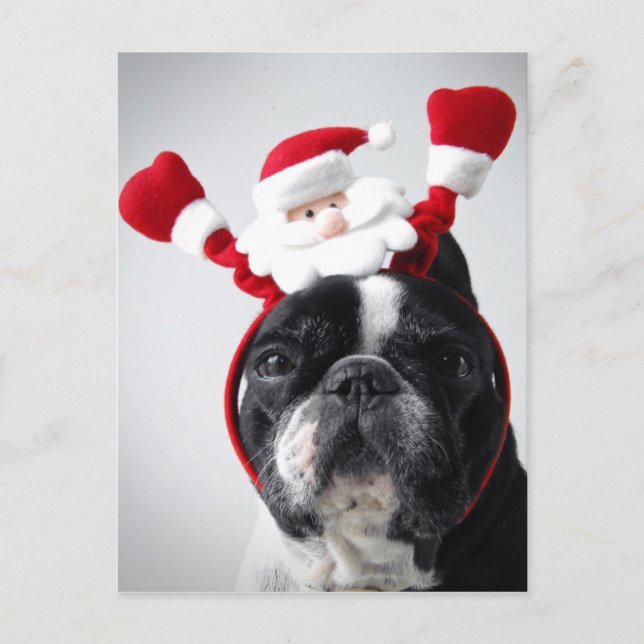 Cartes Pour Fêtes Annuelles Joyeux Portrait de Noël (Devant)