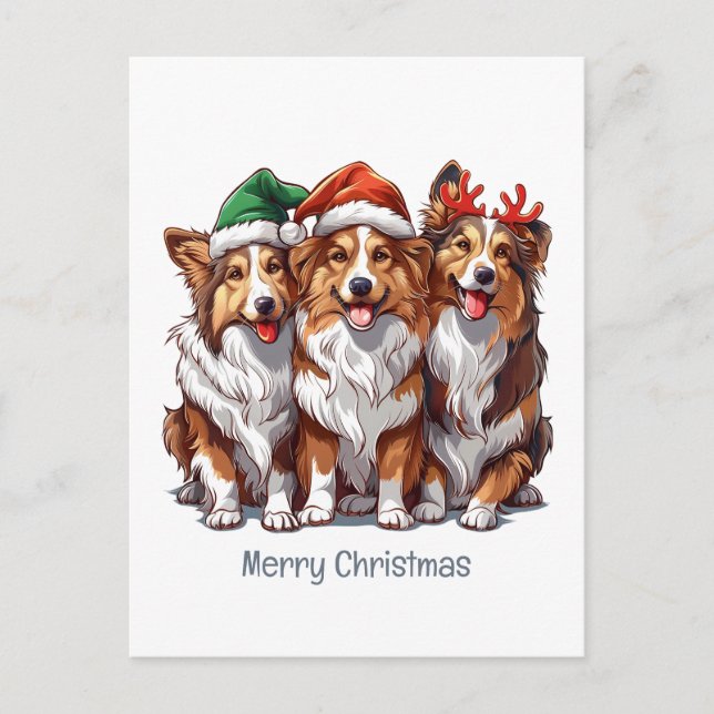 Cartes Pour Fêtes Annuelles Joyeux Sheepdogs de Noël Shetland (Devant)