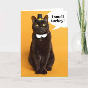 Cartes Pour Fêtes Annuelles Joyeux Thanksgiving à tout chat pèlerin noir