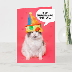 Cartes Pour Fêtes Annuelles Joyeux Valentines Day pour n'importe qui Chat drôl