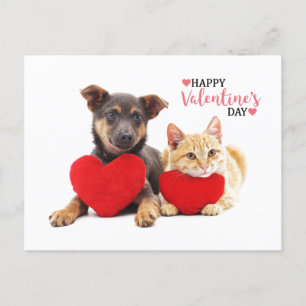 Cartes Pour Fêtes Annuelles Joyeux Valentine's Dog and Cat