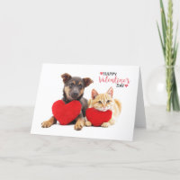 Joyeux Valentine's Dog and Cat