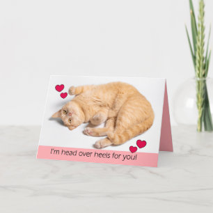 Cartes Pour Fêtes Annuelles Joyeux Valentines Jour Orange Tabby Cat