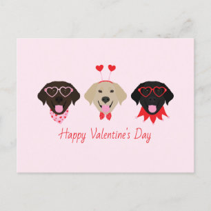 Cartes Pour Fêtes Annuelles Joyeux Valentines Labrador Retriever Dogs