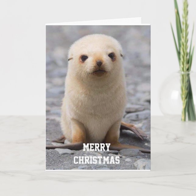 CARTES POUR FÊTES ANNUELLES JOYEZ NOËL "À VOUS !" DE "MOI" (Devant)