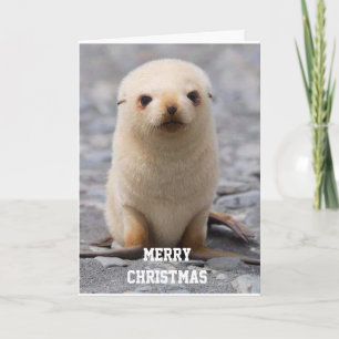 CARTES POUR FÊTES ANNUELLES JOYEZ NOËL "À VOUS !" DE "MOI"