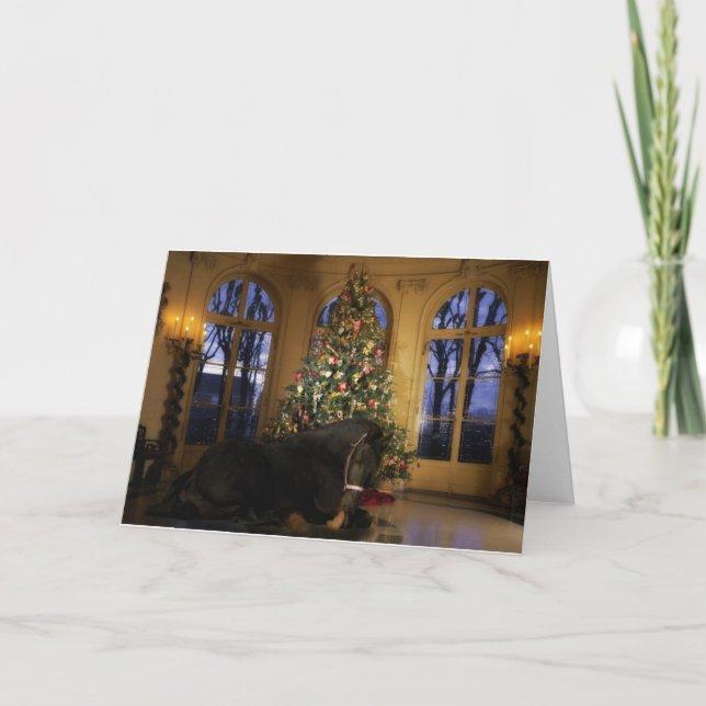 Cartes Pour Fêtes Annuelles Jument frisonne sous l'arbre (Devant)