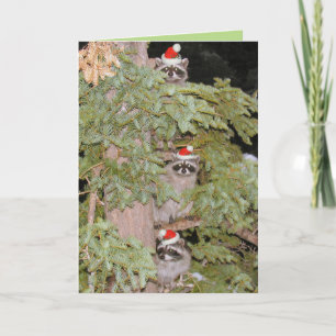 Cartes Pour Fêtes Annuelles Juste jetant un coup d'oeil dans…