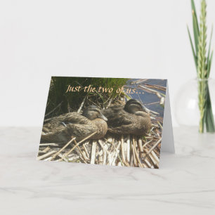 Cartes Pour Fêtes Annuelles Juste les deux de nous…