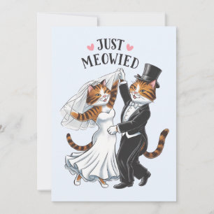 Cartes Pour Fêtes Annuelles Juste Meowie marié Couples Chat Drôle Mariage