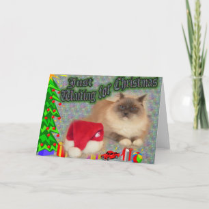 Cartes Pour Fêtes Annuelles Juste Noël de attente !