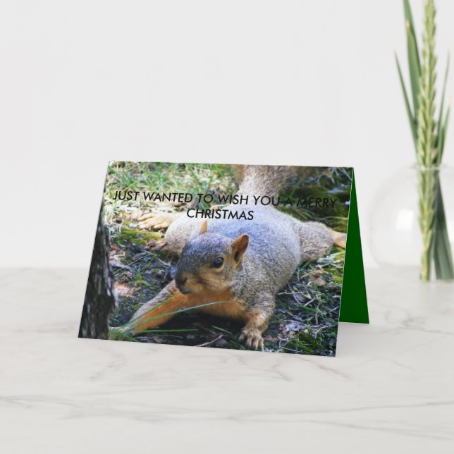 CARTES POUR FÊTES ANNUELLES JUSTE RECHERCHÉ POUR VOUS SOUHAITER JOYEUX CHRIS… (Devant)
