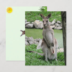 Cartes Pour Fêtes Annuelles Kangaroo avec Joey Postcard
