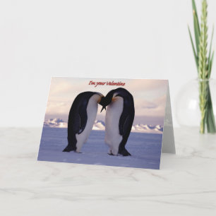 Cartes Pour Fêtes Annuelles Kissing Empereur Penguin Valentine