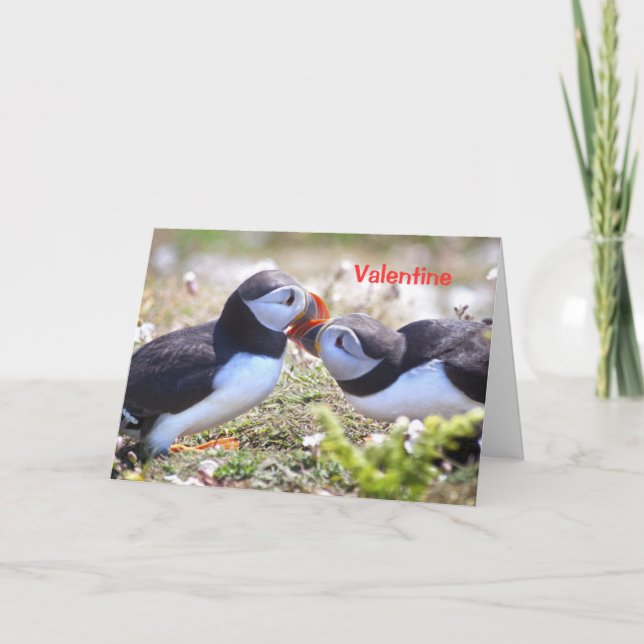 Cartes Pour Fêtes Annuelles Kissing Puffins Card - Valentine (Devant)