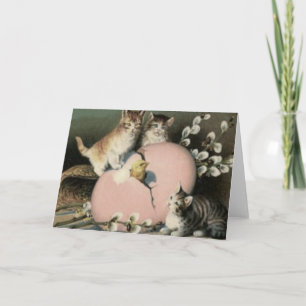 Cartes Pour Fêtes Annuelles Kitten Chat Chick de Pâques Oeuf Peint couleur cha