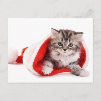 Cartes Pour Fêtes Annuelles Kitten Dans Un Chapeau De Père Noël