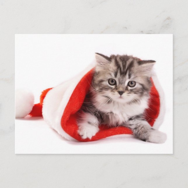 Cartes Pour Fêtes Annuelles Kitten Dans Un Chapeau De Père Noël (Devant)