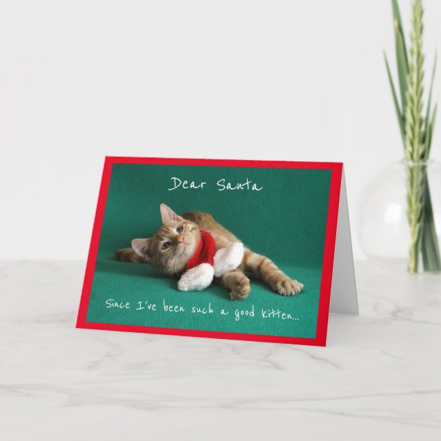 Cartes Pour Fêtes Annuelles Kitten habillé pour Noël (Devant)