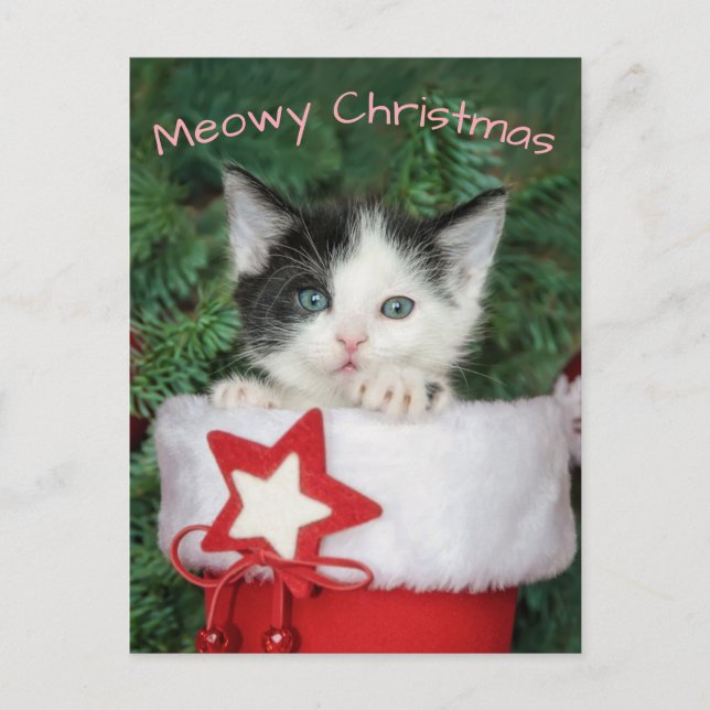 Cartes Pour Fêtes Annuelles Kitten Santa Claus Boot Stocker Meowy Noël - (Devant)
