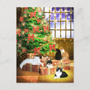 Cartes Pour Fêtes Annuelles Kitty cat Noël