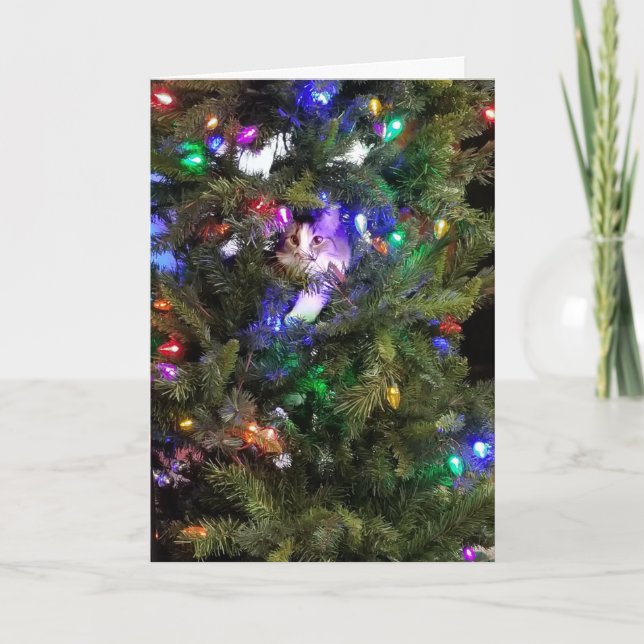 Cartes Pour Fêtes Annuelles Kitty sapin de Noël (Devant)
