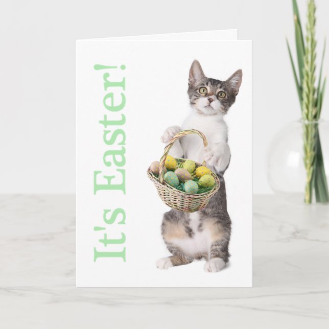 Cartes Pour Fêtes Annuelles Kitty vous apporte un panier de Pâques (Devant)