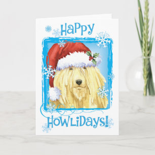 Cartes Pour Fêtes Annuelles Komondor de Noël