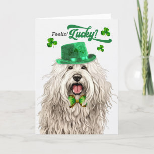 Cartes Pour Fêtes Annuelles Komondor Dog Feelin' Lucky St Patrick's Day