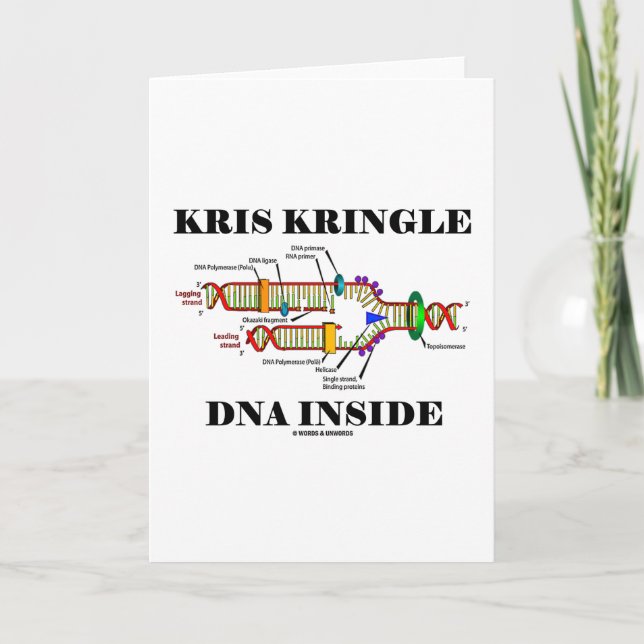 Cartes Pour Fêtes Annuelles Kris Kringle DNA Inside (Devant)