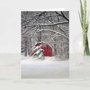 Cartes Pour Fêtes Annuelles La Barne Rouge dans la neige 2011