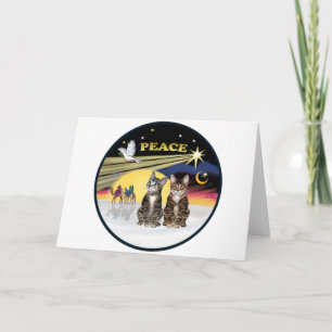 Cartes Pour Fêtes Annuelles La colombe de Noël - Deux chats à tabby