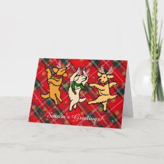 Cartes Pour Fêtes Annuelles La danse de Noël Golden Retrivers
