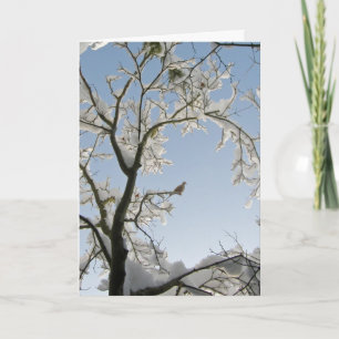 Cartes Pour Fêtes Annuelles La Dove répond : "Noel."