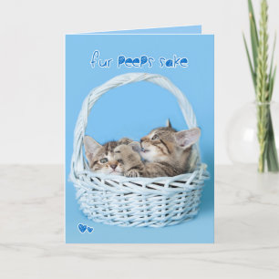 Cartes Pour Fêtes Annuelles La fourrure piaule combat jumeau de chatons de