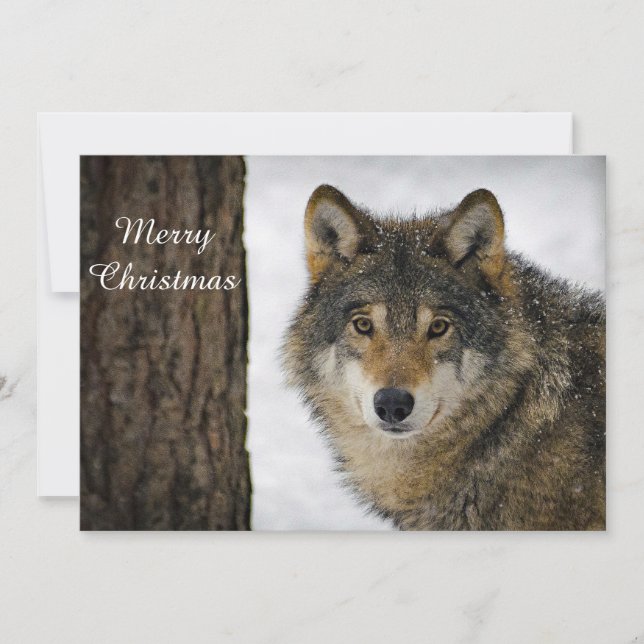 Cartes Pour Fêtes Annuelles La photo de l'arbre à neige Wolf (Devant)