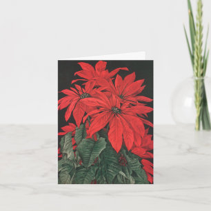 Cartes Pour Fêtes Annuelles La poinsettia rouge de Noël vintage plante des