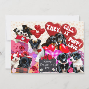 Cartes Pour Fêtes Annuelles La Saint-Valentin Ils l'appellent l'amour de chiot