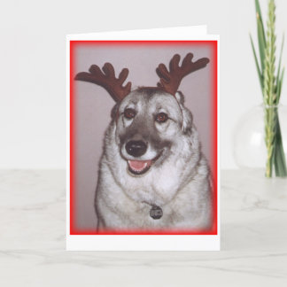 Cartes Pour Fêtes Annuelles La savane de cerfs communs avec le rouge