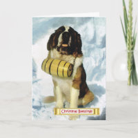 La Suisse vintage, chien de St Bernard,