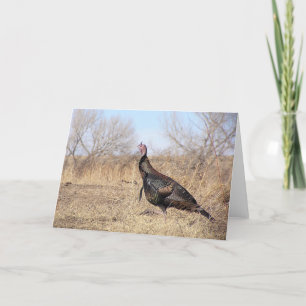Cartes Pour Fêtes Annuelles La Turquie solitaire