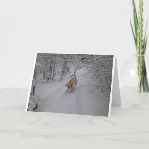 Cartes Pour Fêtes Annuelles Laboratoire jaune jouant dans la neige fraîche