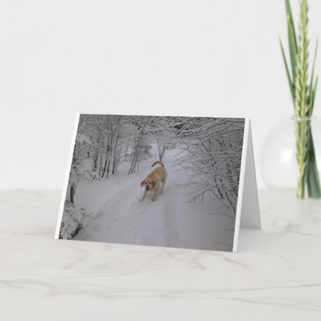 Cartes Pour Fêtes Annuelles Laboratoire jaune jouant dans la neige fraîche (Devant)