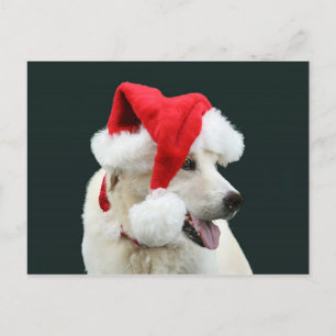 Cartes Pour Fêtes Annuelles Laboratoire jaune Père Noël