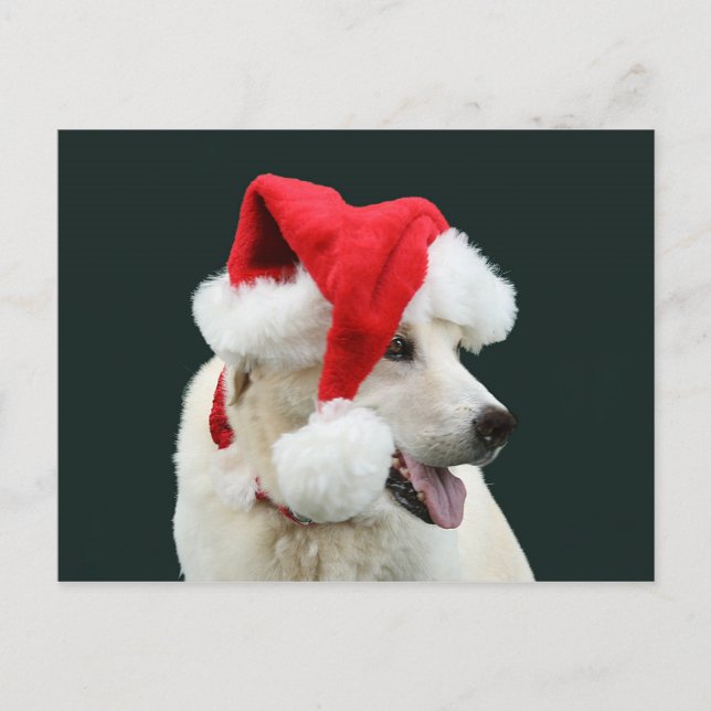 Cartes Pour Fêtes Annuelles Laboratoire jaune Père Noël (Devant)