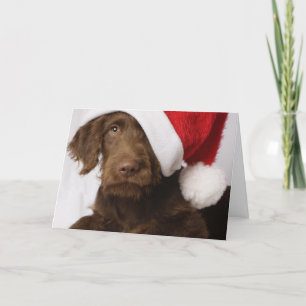 Cartes Pour Fêtes Annuelles Labradoodle wearing a Santa