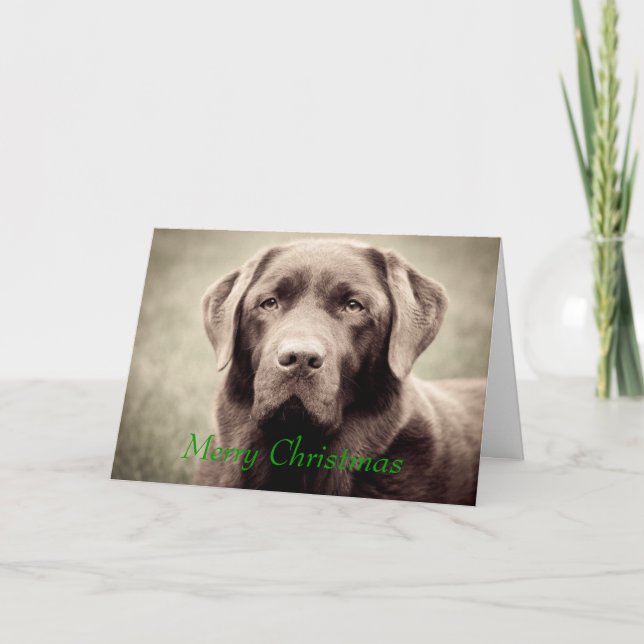 Cartes Pour Fêtes Annuelles Labrador - Chocolat (Devant)