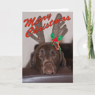 Cartes Pour Fêtes Annuelles Labrador Noël endormi avec des bois festifs